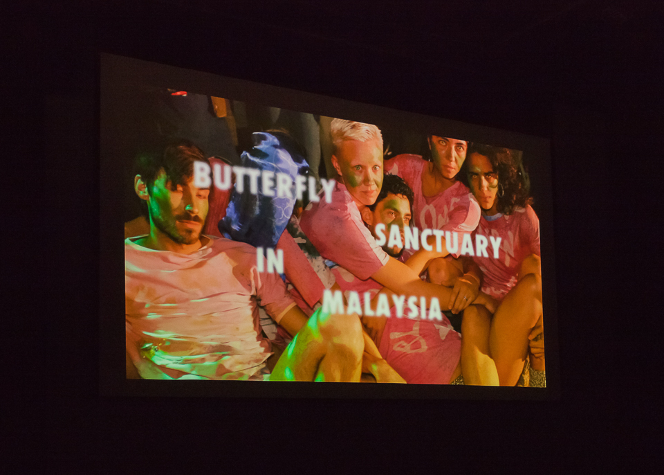 <p>Butterfly Sactuary in Malaysia van&nbsp;Richard John Jones</p>
